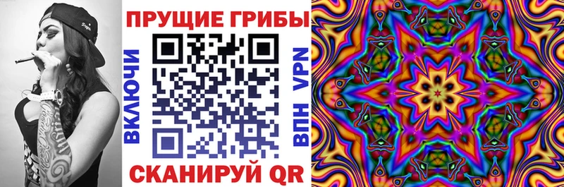 закладка  Бердск  Галлюциногенные грибы Magic Shrooms 